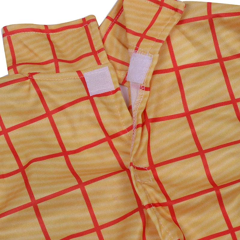 Woody Cowboy - World Book Day