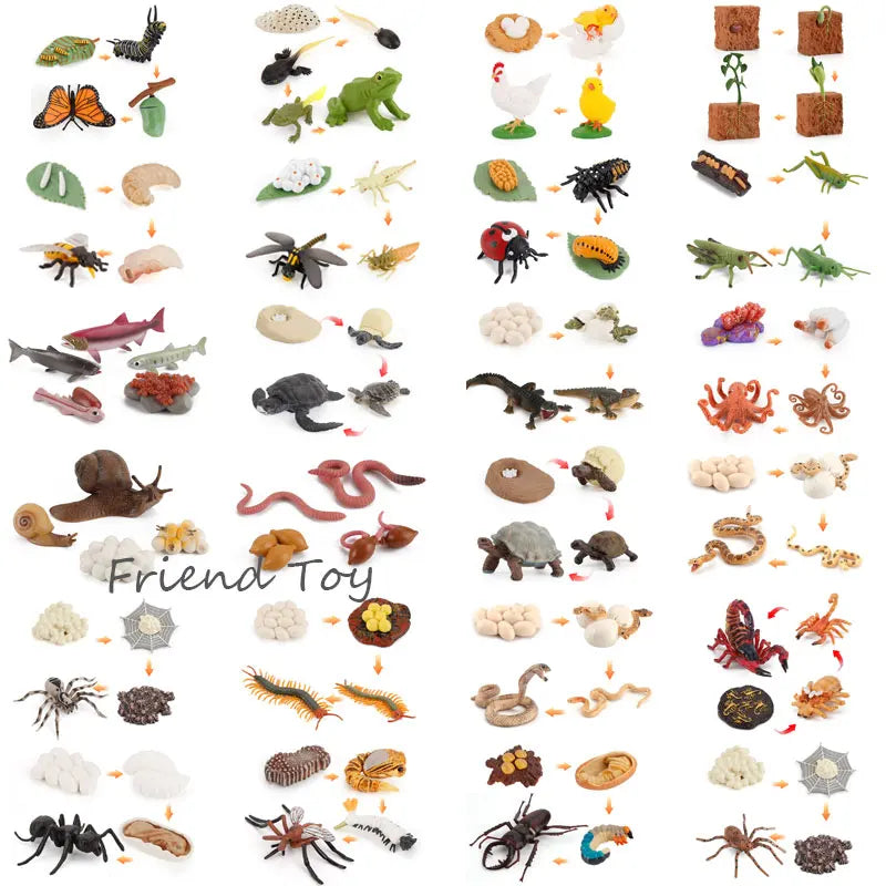 Montessori Sensory Bin Inserts Open-ended Play Tray