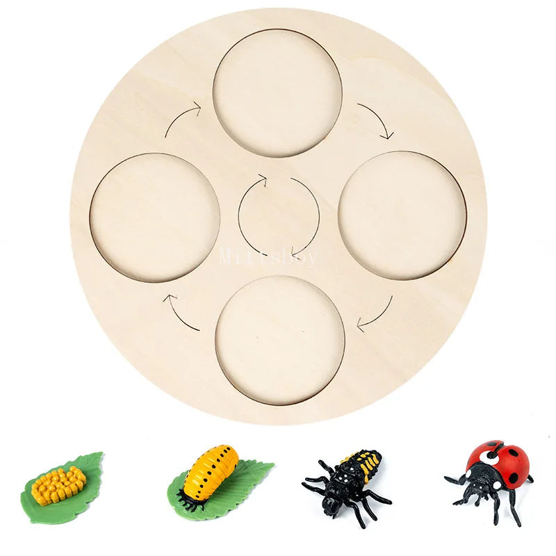 Montessori Animals and insects Life Cycle Wooden Board Set