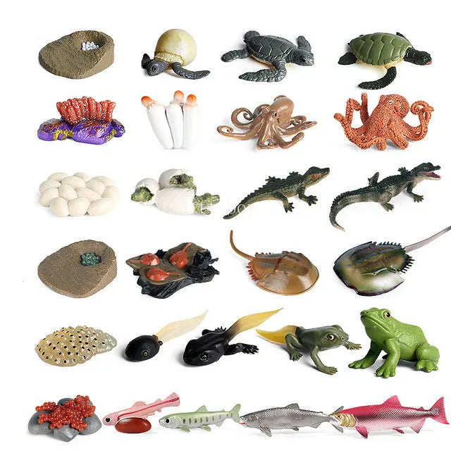 Montessori Animals and insects Life Cycle Wooden Board Set