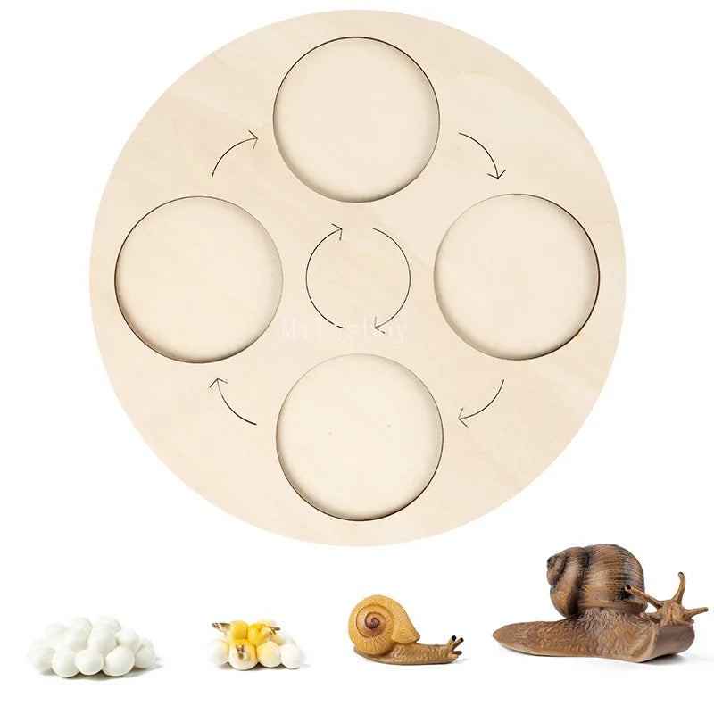 Montessori Animals and insects Life Cycle Wooden Board Set