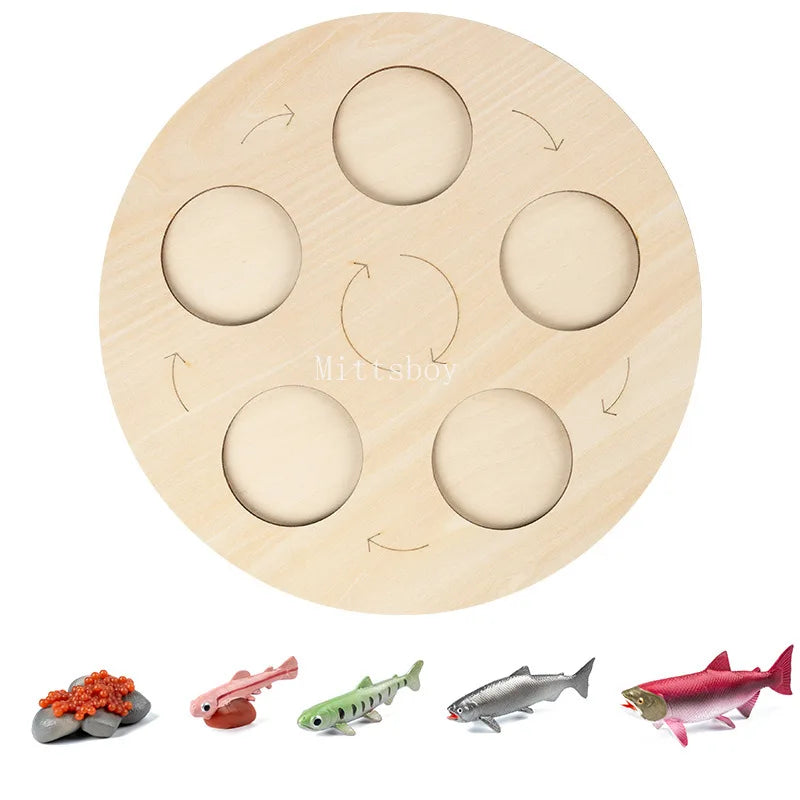 Montessori Animals and insects Life Cycle Wooden Board Set