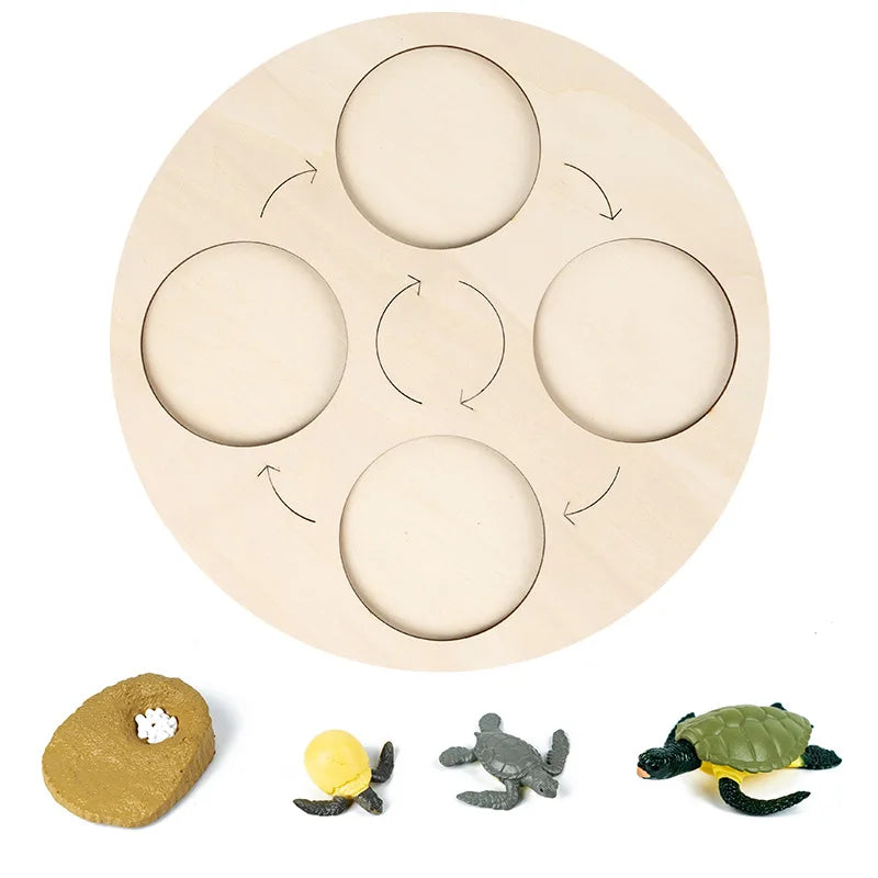 Montessori Animals and insects Life Cycle Wooden Board Set