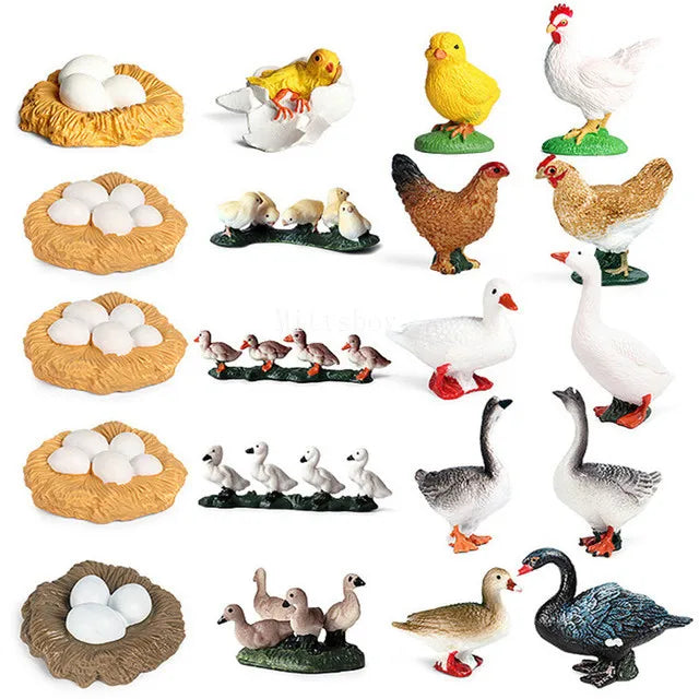 Montessori Animals and insects Life Cycle Wooden Board Set