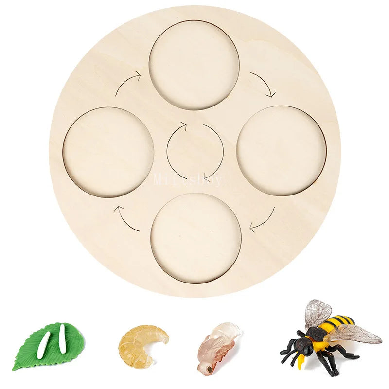 Montessori Animals and insects Life Cycle Wooden Board Set