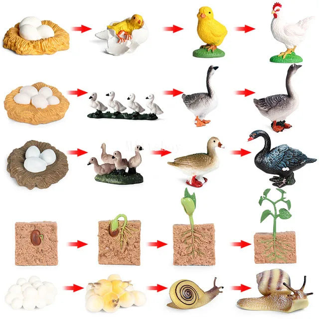 Montessori Animals and insects Life Cycle Wooden Board Set