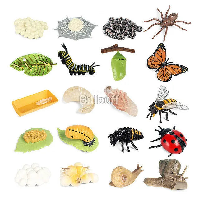 Montessori Animals and insects Life Cycle Wooden Board Set