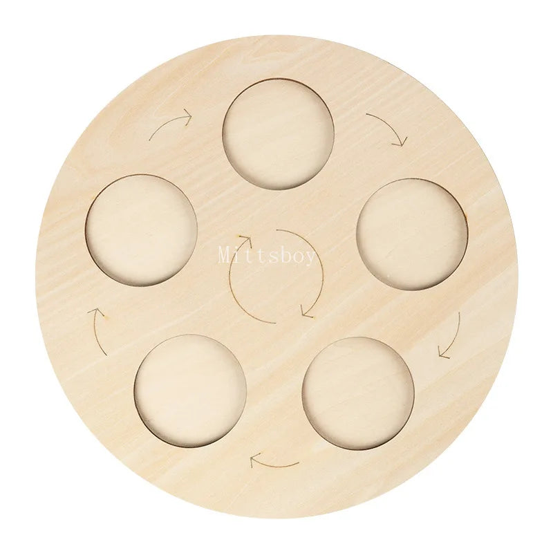 Montessori Animals and insects Life Cycle Wooden Board Set