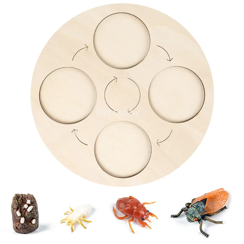 Montessori Animals and insects Life Cycle Wooden Board Set