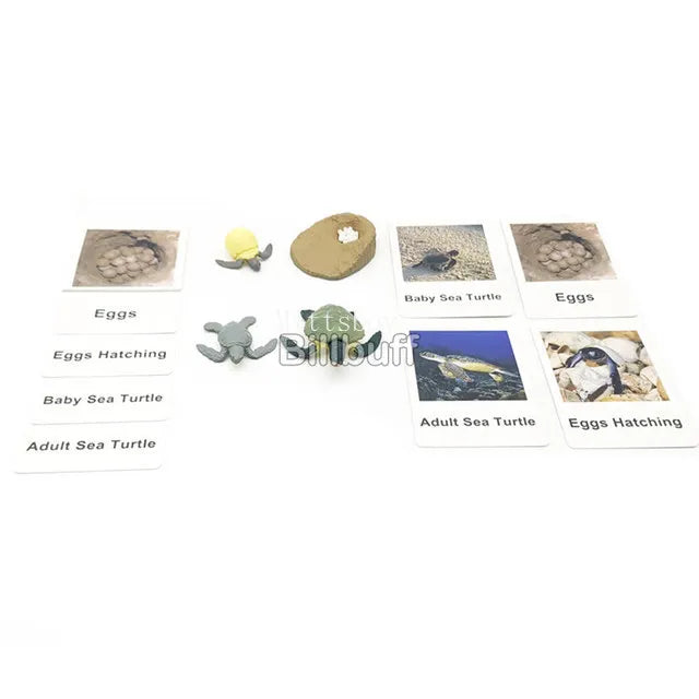 Montessori Animals and insects Life Cycle Wooden Board Set