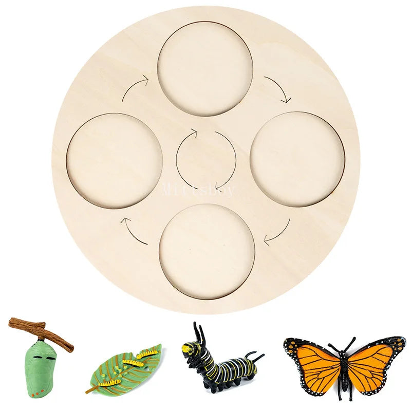 Montessori Animals and insects Life Cycle Wooden Board Set