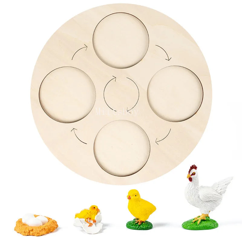 Montessori Animals and insects Life Cycle Wooden Board Set