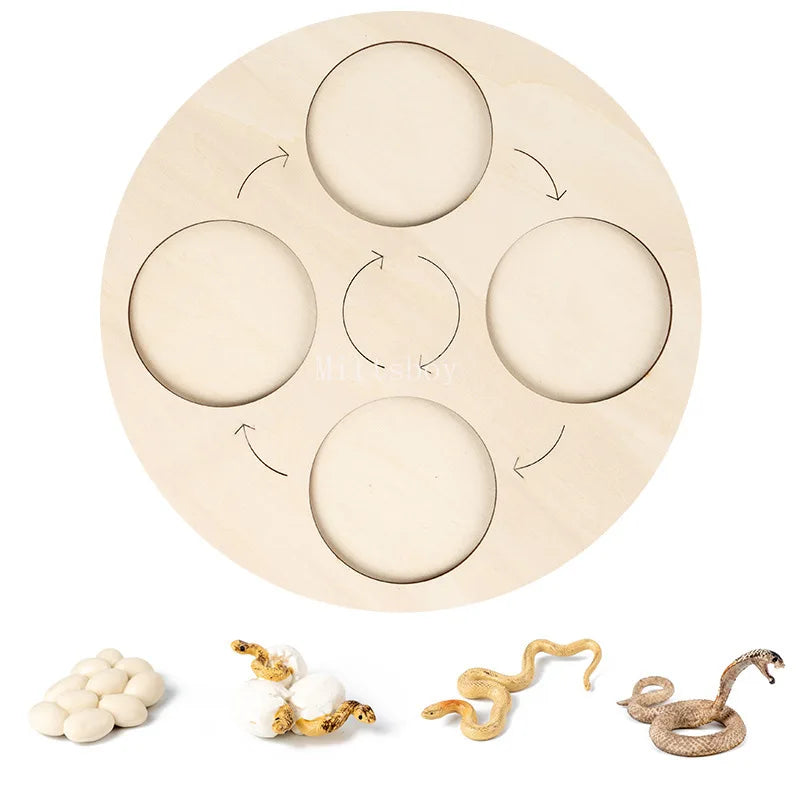 Montessori Animals and insects Life Cycle Wooden Board Set