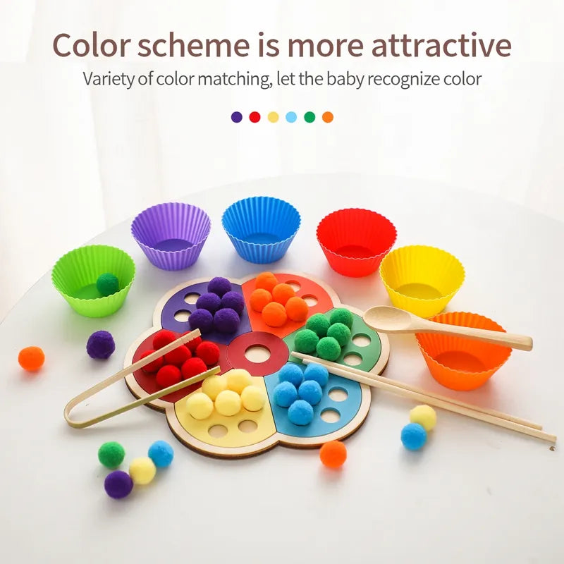 Wooden Montessori Baby Color Sorting Sensory Toy