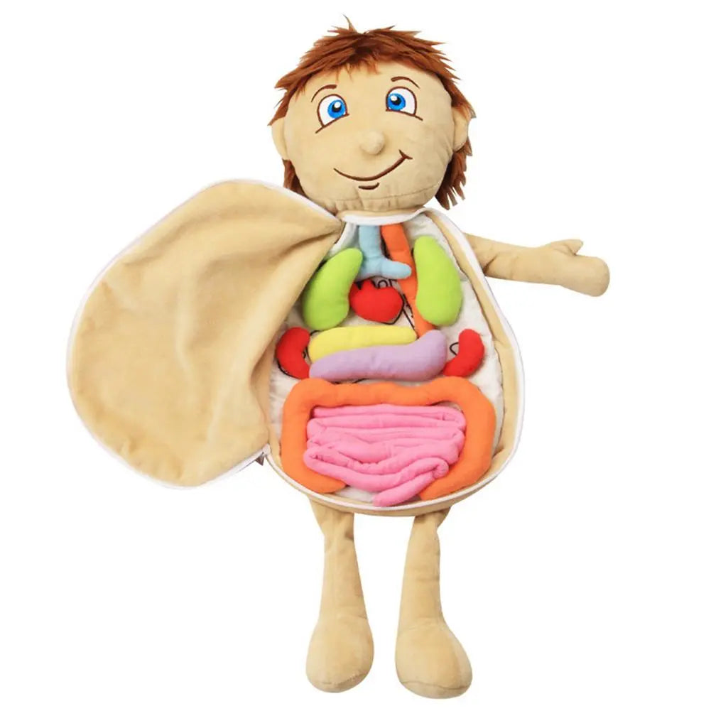 Children's Body Organ Awareness Plush
