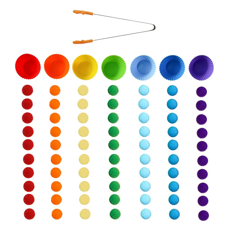 Wooden Montessori Baby Color Sorting Sensory Toy