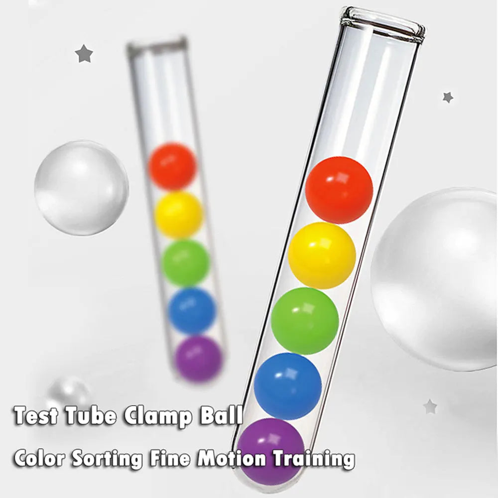 Montessori Rainbow Balls Sorting Educational Toys