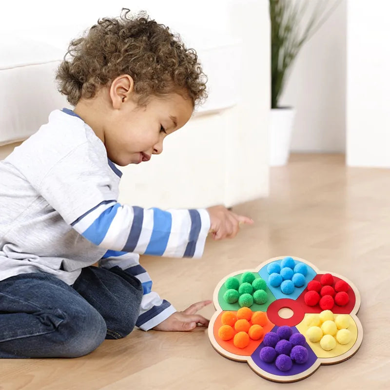 Wooden Montessori Baby Color Sorting Sensory Toy