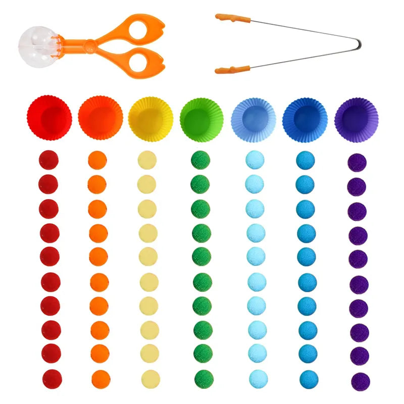 Wooden Montessori Baby Color Sorting Sensory Toy