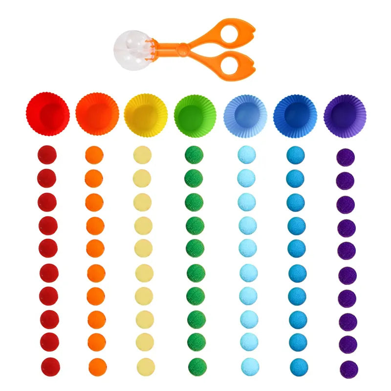 Wooden Montessori Baby Color Sorting Sensory Toy