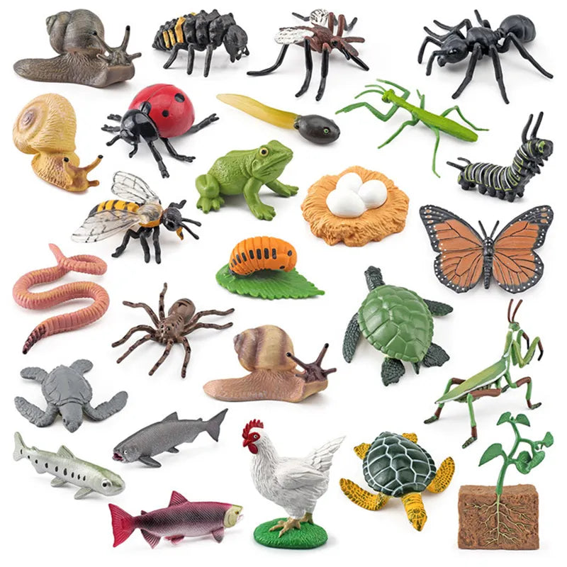 New Animal Life Cycle Board Children Toys Montessori Teaching Aids Plant Animal Growth Cycle Model Set Preschool Cognitive Toys