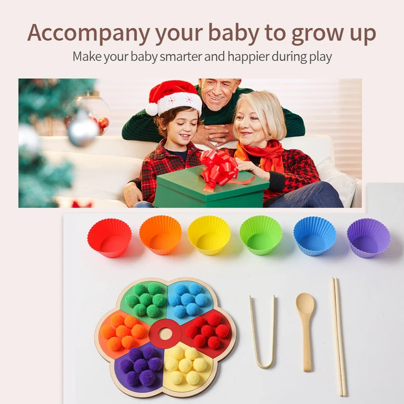 Wooden Montessori Baby Color Sorting Sensory Toy