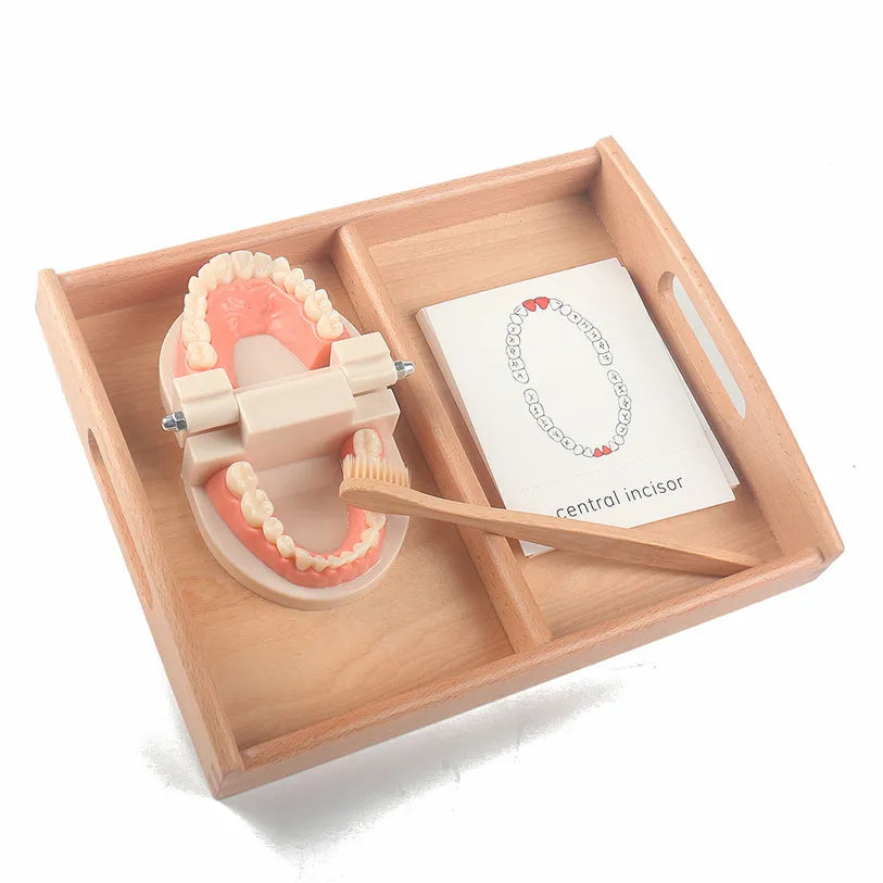 Montessori Wooden Tray, Furniture Educational Material