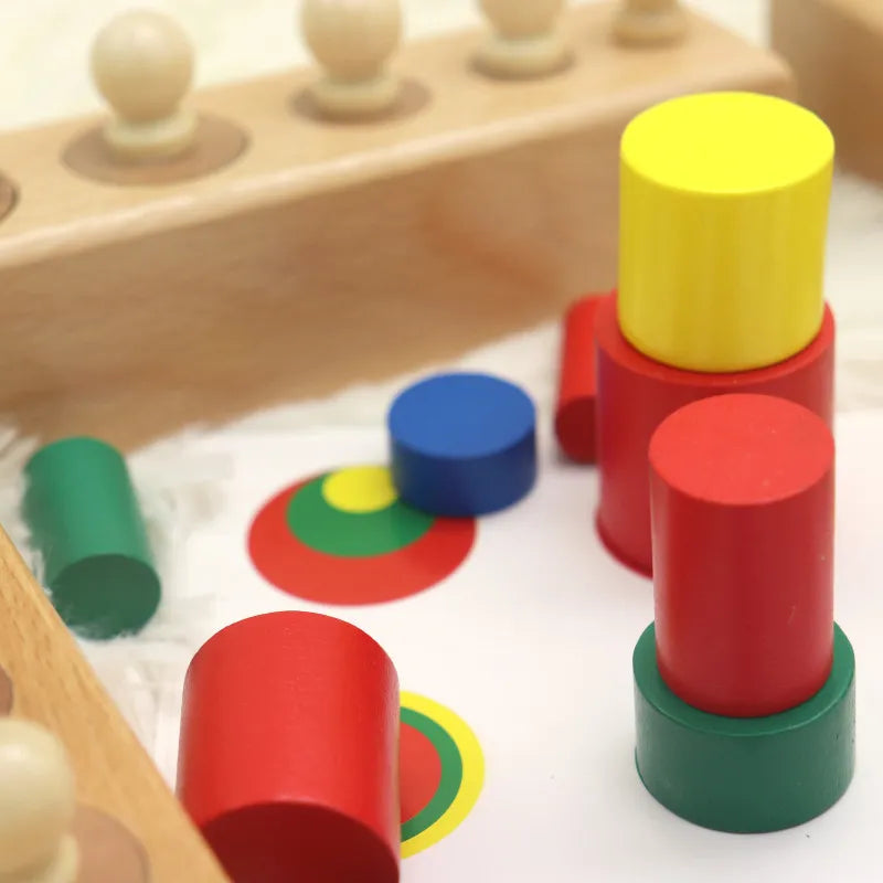 Montessori  Colourful Wooden Socket Cylinder Block Set