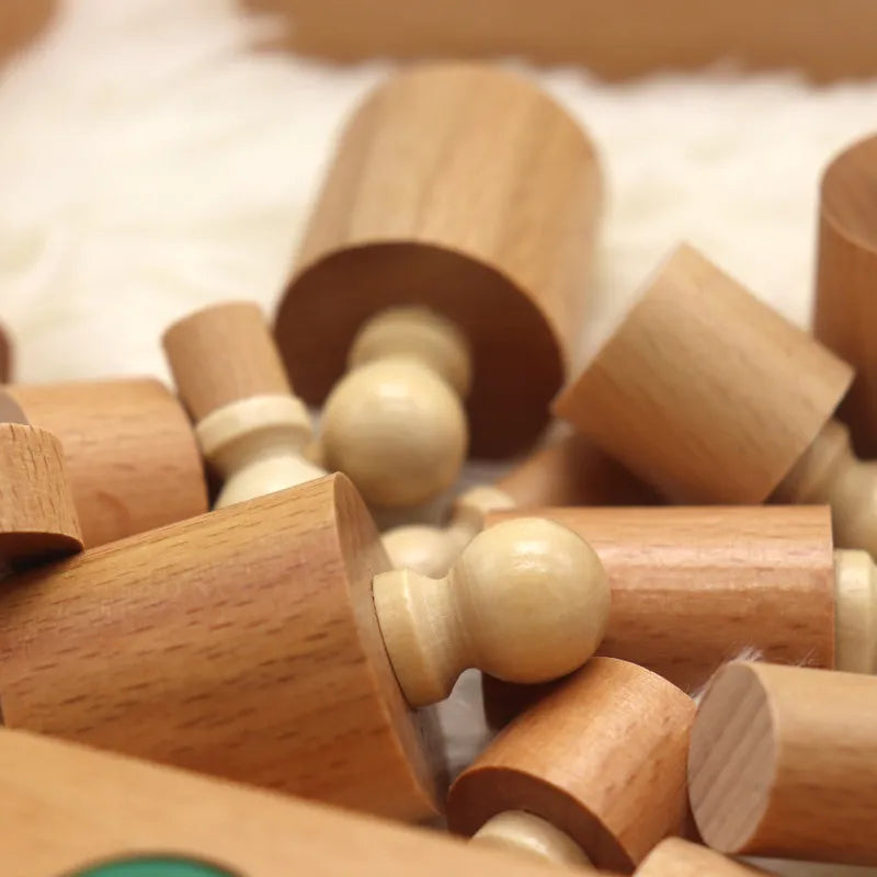 Montessori  Colourful Wooden Socket Cylinder Block Set