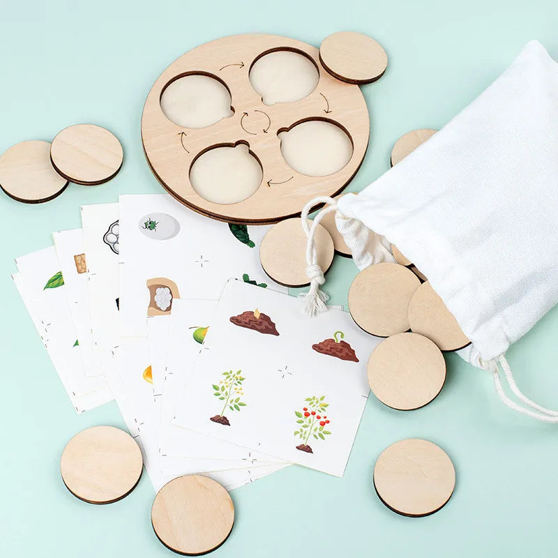 Montessori Life Cycle Sensory Tray